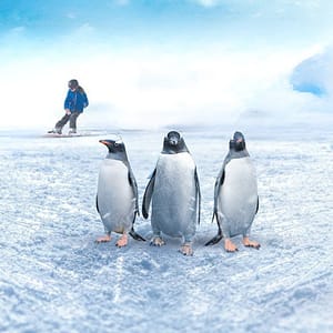 Ski Egypt – Indoor Attractions Cdxb.com Special Offers, Deals & Discounts in Canada