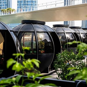 The Pods 4-Course Set Menu – Brunches Cdxb.com Special Offers, Deals & Discounts in Canada