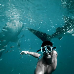 Private group Boating Experience with Dolphins Watching & Snorkeling – Sightseeing and Tours Cdxb.com Special Offers, Deals & Discounts in Canada
