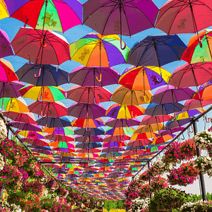 Dubai Miracle Garden – Gardens & parks Cdxb.com Special Offers, Deals & Discounts in Canada