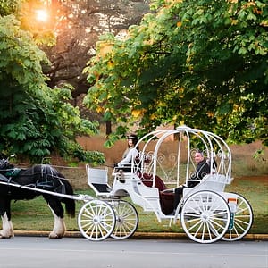 45-Minute By The Park Tour at 600 Menzies St, Victoria, Canada Cdxb.com Special Offers, Deals & Discounts in Canada