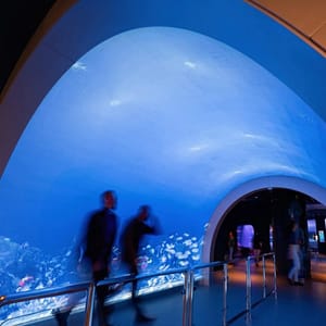 Marassi Aquarium & Underwater Zoo Tickets – Top-Rated Attractions Cdxb.com Special Offers, Deals & Discounts in Canada