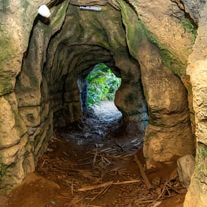 Tropical Land – Top-Rated Attractions Cdxb.com Special Offers, Deals & Discounts in Canada