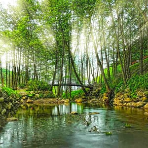 Daily Sapanca and Masukiye Tour: Full-Day Trip From Istanbul – Sightseeing and Tours Cdxb.com Special Offers, Deals & Discounts in Canada