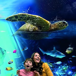 SEA LIFE Brighton – Recently Added Experiences Cdxb.com Special Offers, Deals & Discounts in Canada