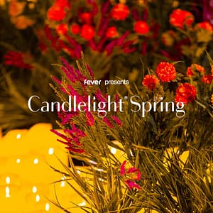 Candlelight Spring: Best of Metal at The Lantern Community Church, Calgary, Canada Cdxb.com Special Offers, Deals & Discounts in Canada