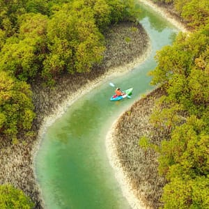Guided Kayak Tour in the Reem Central Park Mangroves – Water Sports Cdxb.com Special Offers, Deals & Discounts in Canada