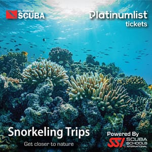 Snorkeling Daily Trips in Jeddah – Attractions Special Offers Cdxb.com Special Offers, Deals & Discounts in Canada