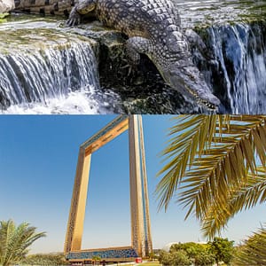 Crocodile Park Special Offer Combos – Upto 30% OFF – Attractions Special Offers Cdxb.com Special Offers, Deals & Discounts in Canada