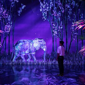 ARTE Museum + House Of Hype – Combo – Combos and more adventures Cdxb.com Special Offers, Deals & Discounts in Canada
