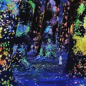 TeamLab Phenomena Abu Dhabi – Dated – Museums Cdxb.com Special Offers, Deals & Discounts in Canada