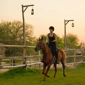Horse Riding with Open Buffet Dinner & Shows – Desert safaris Cdxb.com Special Offers, Deals & Discounts in Canada