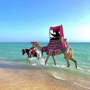 Full Day Obhur & Beach Tour With Transfers – Recently Added Experiences Cdxb.com Special Offers, Deals & Discounts in Canada