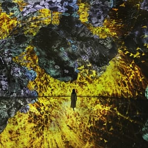TeamLab Phenomena + Yas Waterworld – Combo – Recently Added Experiences Cdxb.com Special Offers, Deals & Discounts in Canada