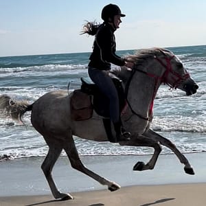 Horse Riding at Shahaniya –  Qool Qatar – Must-see attractions Cdxb.com Special Offers, Deals & Discounts in Canada