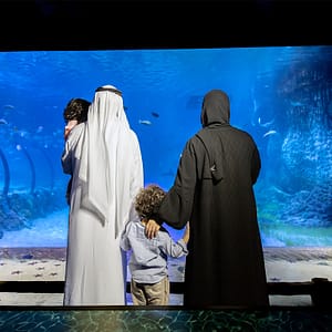 The National Aquarium Abu Dhabi – Experiences Cdxb.com Special Offers, Deals & Discounts in Canada