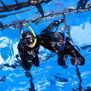 Dubai Aquarium & Underwater Zoo Cage Snorkelling – Indoor Attractions Cdxb.com Special Offers, Deals & Discounts in Canada