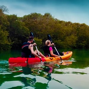 Mangroves Kayaking at Purple Island – Qool Qatar – Must-see attractions Cdxb.com Special Offers, Deals & Discounts in Canada