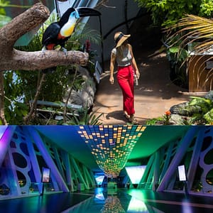 Dubai Frame + The Green Planet Dubai – Combo – Must-see attractions Cdxb.com Special Offers, Deals & Discounts in Canada