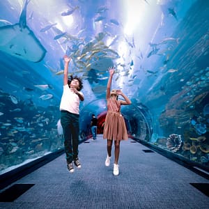 Dubai Aquarium & Underwater Zoo – Regular Pass – Experiences Cdxb.com Special Offers, Deals & Discounts in Canada
