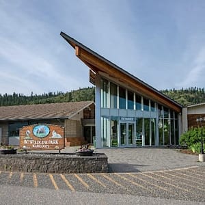 BC Wildlife Park Kamloops at BC Wildlife Park, Vancouver, Canada Cdxb.com Special Offers, Deals & Discounts in Canada