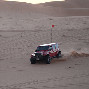 Storm adventure – Safari trip – Top-Rated Attractions Cdxb.com Special Offers, Deals & Discounts in Canada