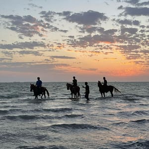 Horse Riding in Jeddah – Experiences Cdxb.com Special Offers, Deals & Discounts in Canada