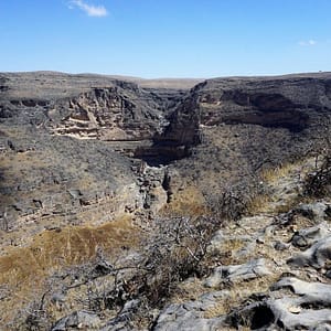 Salalah: Private Full-Day Jebel Safari Tour East – Recently Added Experiences Cdxb.com Special Offers, Deals & Discounts in Canada