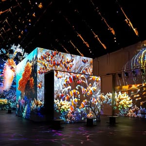 Fabrique des Lumières: The Sea – Recently Added Experiences Cdxb.com Special Offers, Deals & Discounts in Canada